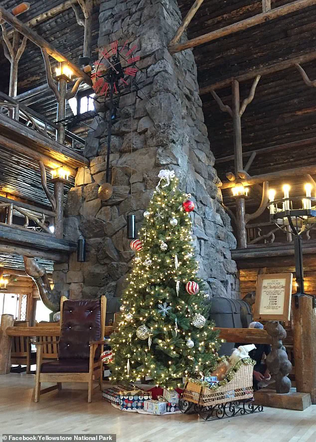 Yellowstone National Park's Unique Tradition: Celebrating Christmas Twice a Year with August Festivities