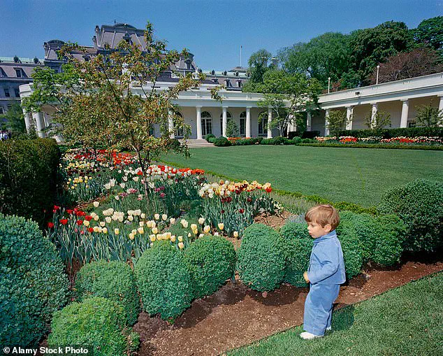 Trump's Legacy in the Oval Office: Gold, Power, and the Resolute Desk