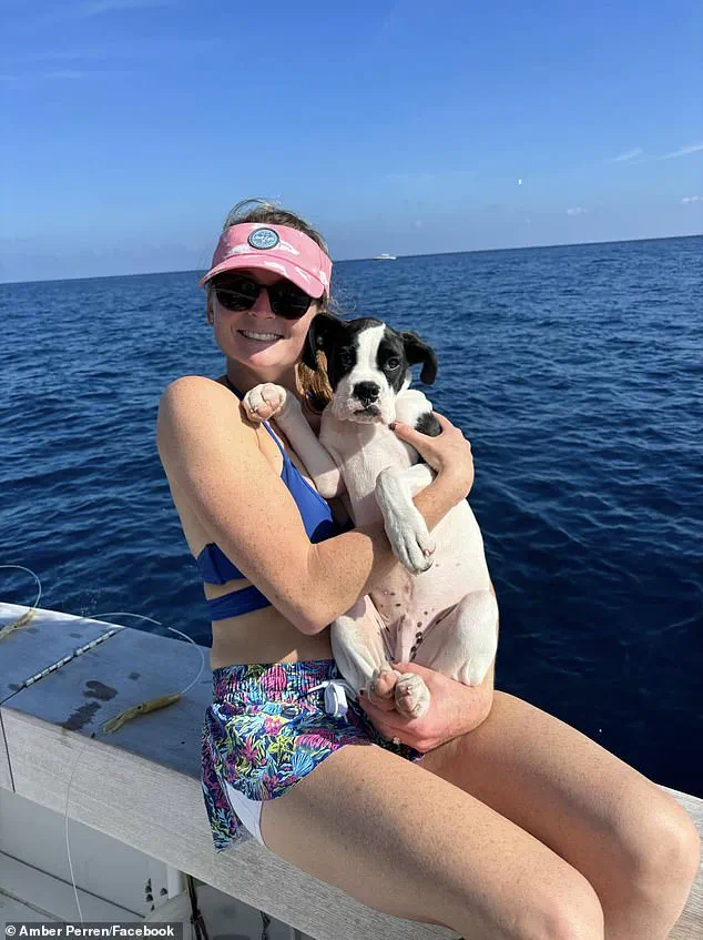 Dr. Amber Perren's Encounter with an Eight-Foot Alligator: A Chilling Tale of Human Resilience