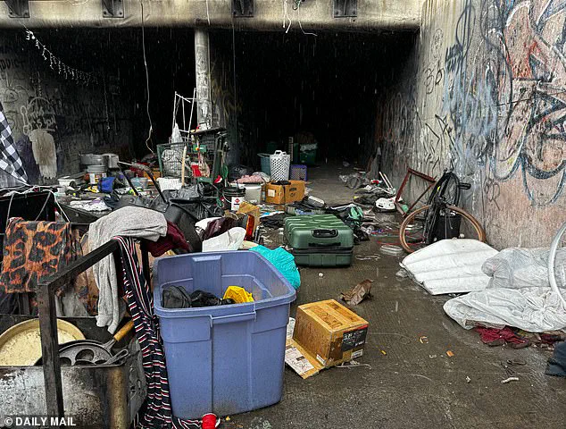 Las Vegas' Abandoned Tunnels: From Flood Control to Shelter for Homeless Struggling with Addiction and Mental Illness