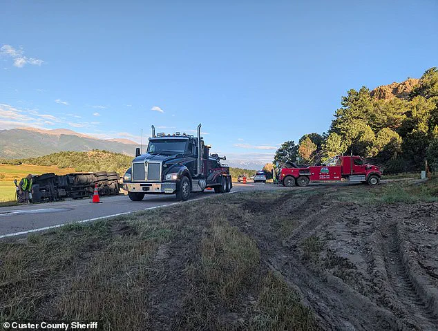 Semi-Truck Crash Spills Sweet Corn on Colorado Highway, Becomes Local Boon