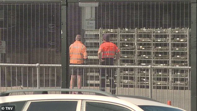 Tragedy at Sydney Airport: Freight Handler Killed in Terminal Accident, Investigation Underway by Police and Qantas