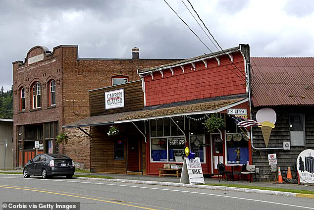 Limited Access to Bridge Safety Information Sparks Economic Collapse Fears in Washington