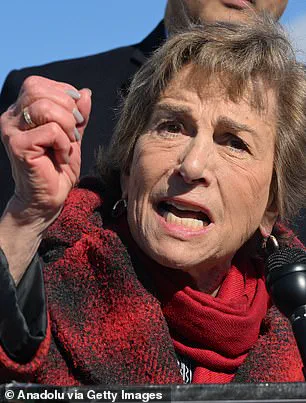 Generational Divide in the Democratic Party Sparks Debate Over Policy Priorities and Their Impact on the Public