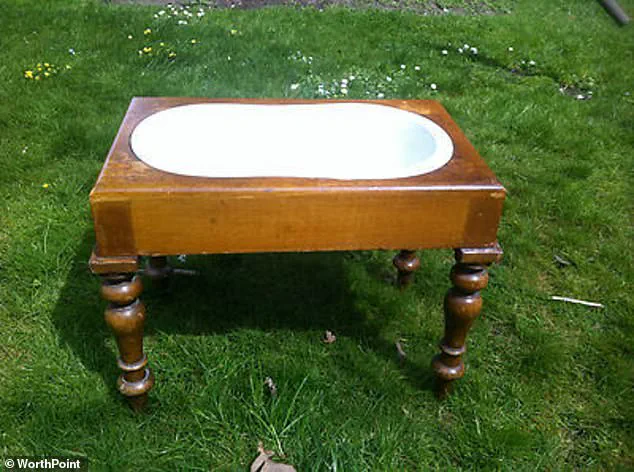 Late-Breaking: Mysterious 19th-Century Houseboat Object Sparks Online Frenzy