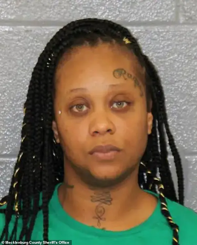 Regulatory Gaps in Mental Health and Criminal Justice Systems Pose Risks to Public Safety