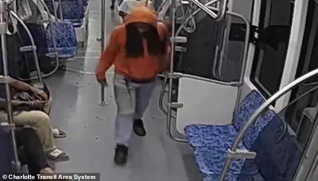 Regulatory Gaps in Mental Health and Criminal Justice Systems Pose Risks to Public Safety