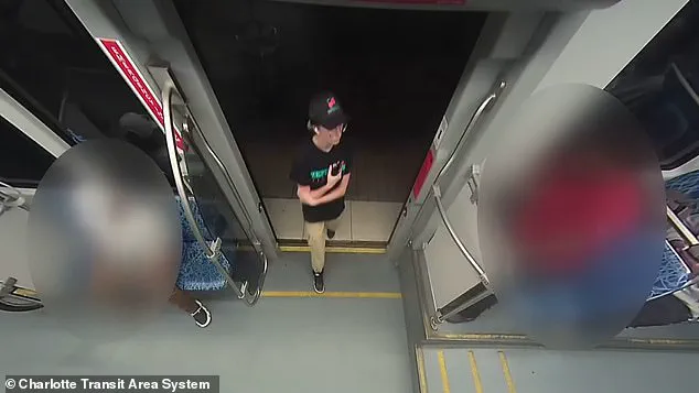 Regulatory Gaps in Mental Health and Criminal Justice Systems Pose Risks to Public Safety