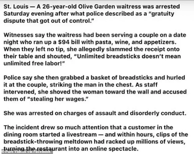 Megan Ashlee Davis: 'I Feel Humiliated' as Viral Mugshot and Fake Olive Garden Story Spark Controversy