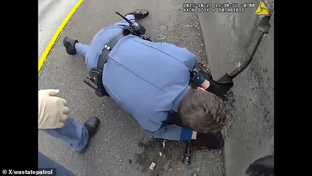 Body Camera Footage Shows Washington State Highway Patrol Troopers Rescuing Stranded Kitten on Interstate 5 Near Tacoma