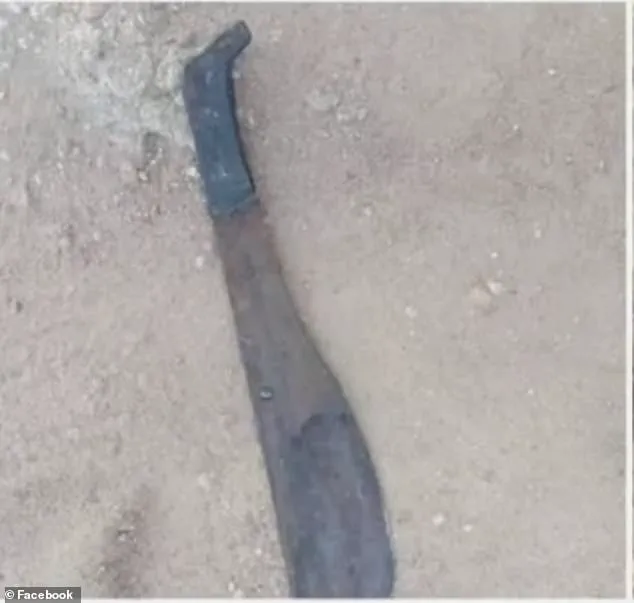 Exclusive Access: South African Pastor's Brutal Justice and the Shadows of Vigilantism