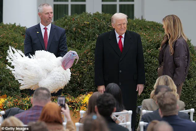 President Trump Pardons Thanksgiving Turkeys Gobble and Waddle in 2025 Rose Garden Ceremony