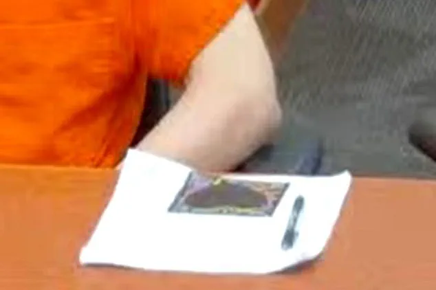 Melissa Kohberger Sends Drawing to Brother Bryan Ahead of His Sentencing for University of Idaho Murders