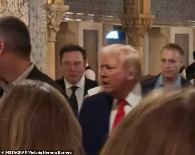 Elon Musk's Path to Trillionaire Status: 'SpaceX's $800 Billion Valuation is Just the Beginning,' Says Wall Street Analyst