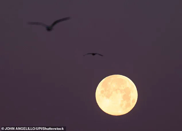 San Francisco Residents Describe 'Unprecedented' Chaos as Super Moon Trifecta Submerges Streets