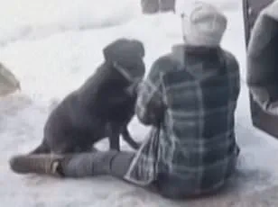 Exclusive: Minneapolis Mayor's Outburst and the Limited Access to Information Surrounding the ICE Shooting