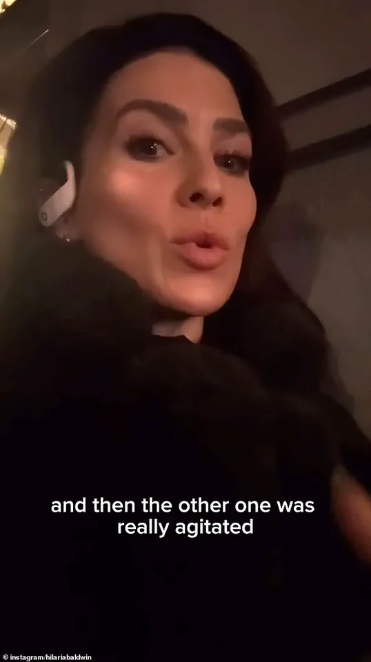 ICE Shooting of Protester Renee Nicole Good, Captured on Video, Reignites National Debate Over Immigration Enforcement and Accountability