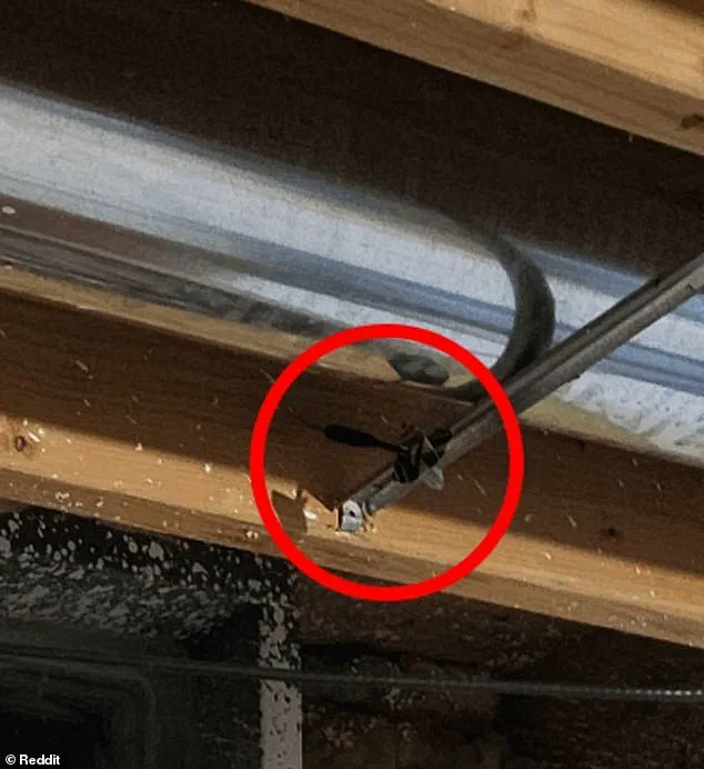 Late-Breaking: Reddit's r/FindTheSniper Forum Explodes as Users Battle to Spot Elusive Third Dart in Viral Puzzle