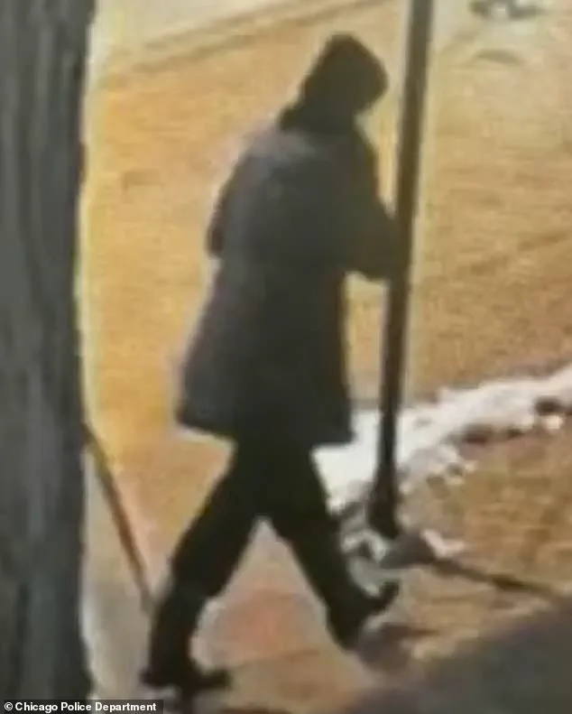 Exclusive: 10-Day Search Concludes with Tragic Recovery of Linda Brown's Body from Lake Michigan