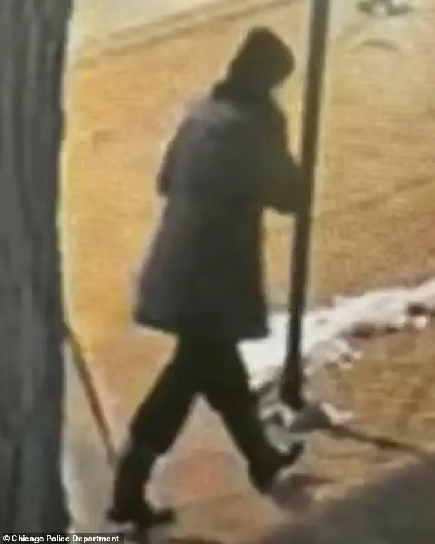 Exclusive: 10-Day Search for Linda Brown Reveals Limited Access to Critical Information on Her Tragic Death