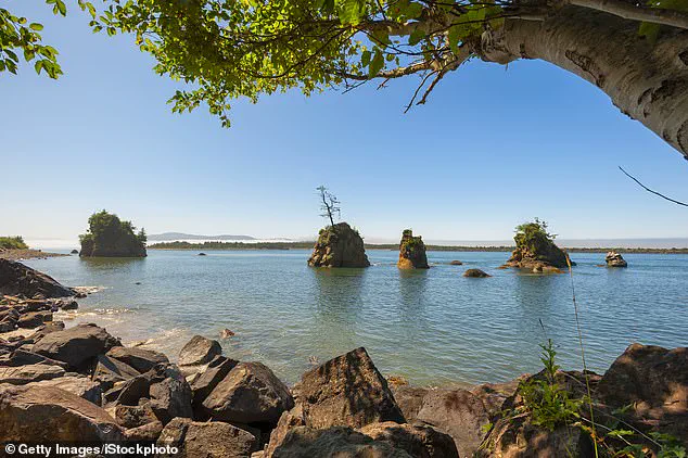 Skeletal Remains Found on Washington Beach Identified as Missing Former Mayor After 20-Year Search