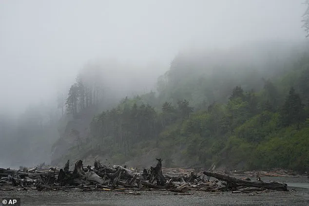 Skeletal Remains Found on Washington Beach Identified as Missing Former Mayor After 20-Year Search
