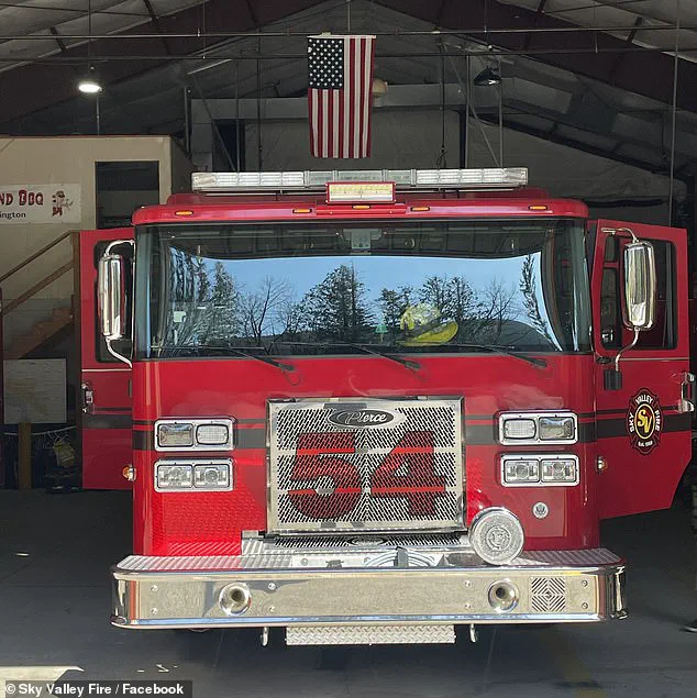 Sky Valley Firefighters Save Six Puppies from Opioid Overdose, Highlighting Emergency Responders' Critical Role in Public Health Crises