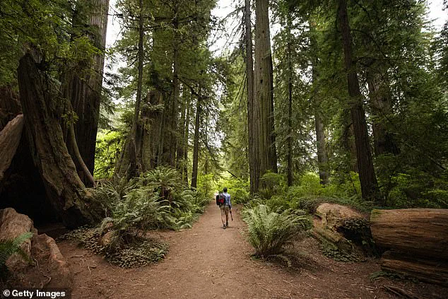 California Parks Defy Trump's Federal Policies by Keeping Free Admission Amid Holiday Cuts