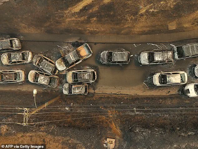 Chile's Rampant Wildfires: 18 Dead, 50,000 Evacuated as Crisis Sparks Reckoning Over Government Preparedness and Resource Allocation