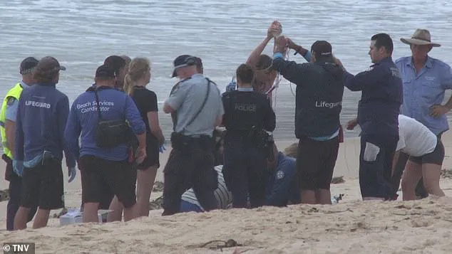 Sydney's Northern Beaches in Lockdown After Three Shark Attacks Fuel Community Fear