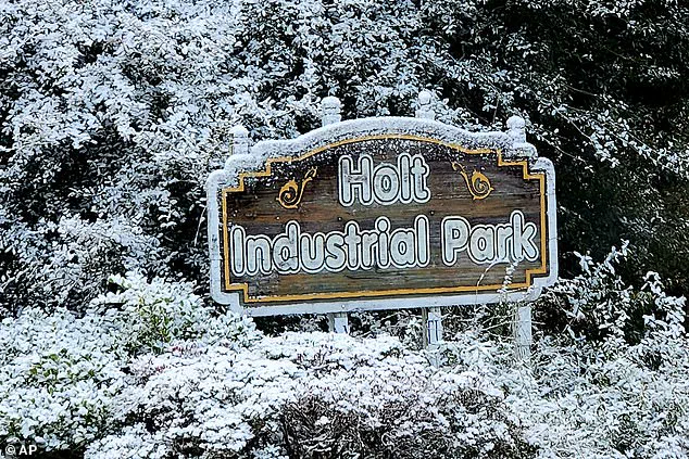 Unprecedented Cold Snap Affects 18 States, Including Florida and Georgia