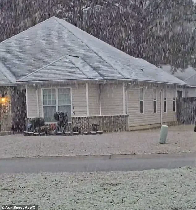 Unprecedented Cold Snap Affects 18 States, Including Florida and Georgia