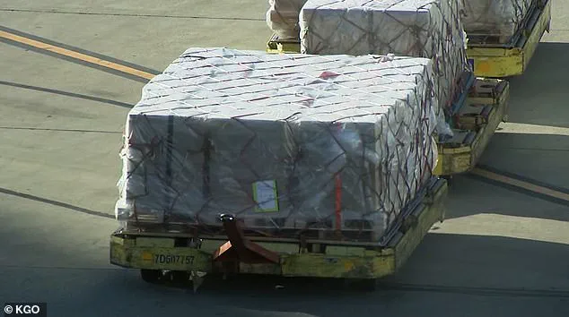 Tragic Accident at San Francisco International Airport Claims Life of Cargo Handler