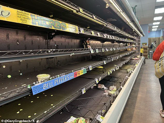 Historic Snowstorm Looms Over East Coast: Forecasters Warn of Unprecedented Risks to Major Cities