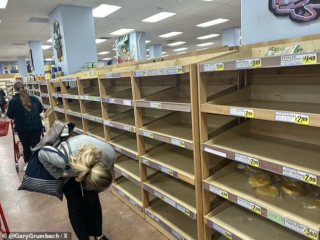 Historic Snowstorm Looms Over East Coast: Forecasters Warn of Unprecedented Risks to Major Cities