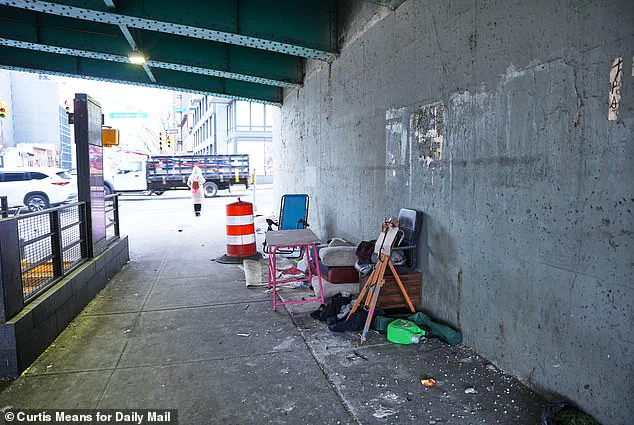 Zohran Mamdani's Policy Shift Sparks Return of Homeless Encampments in Manhattan, as He Vows to Halt Clearances: 'They Are Simply Pushing New Yorkers Who Are Living in the Cold to Another Place Where...'