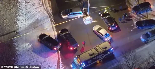 Deadly Shooting at Carver Birthday Party Classified as Targeted Killing by Officials