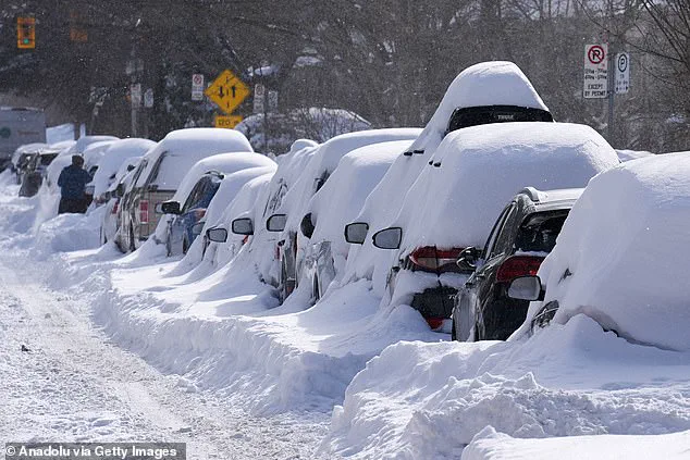 Mayor Olivia Chow's 56-Meter Snow Gaffe Sparks Public Mockery and Social Media Ridicule