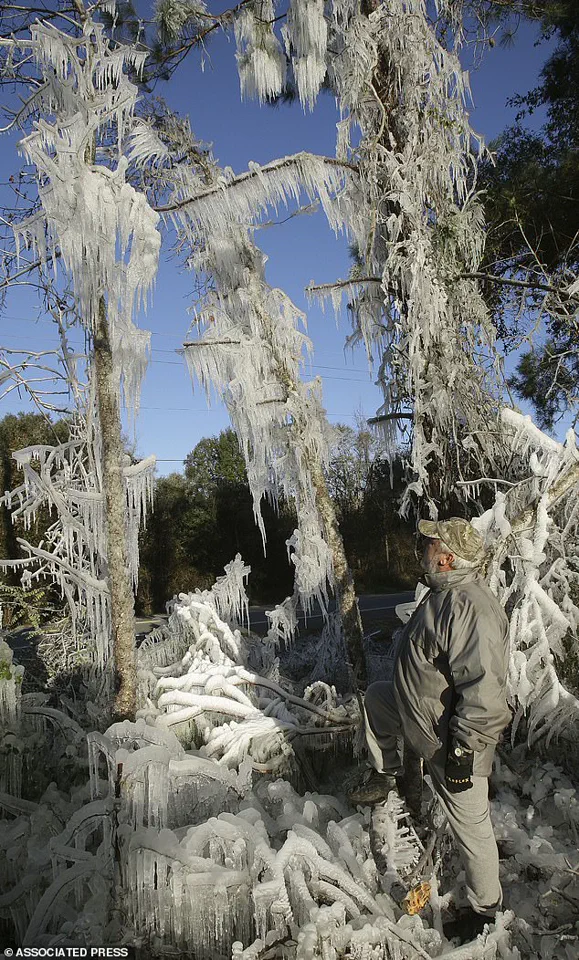 Exclusive Insight: Miami Faces Historic Cold as Unprecedented Storm Looms