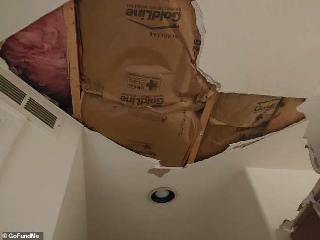 Navigating Government Regulations: A Family's Struggle to Restore Their Inherited Home