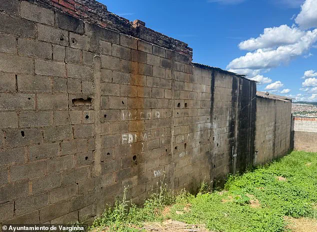 Unidentified Creature Encounter in Varginha, Brazil, Sparks Decades-Long Mystery