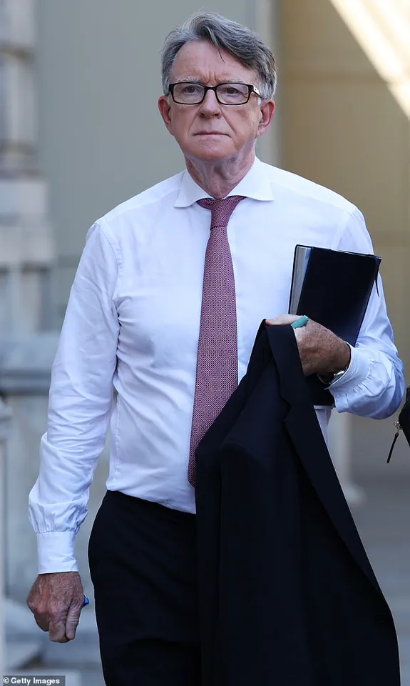 Leaked Photo Reveals Peter Mandelson at Jeffrey Epstein's Mansion Amid Epstein Files Release