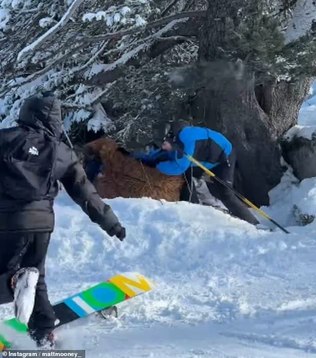 Chewbacca Skier's Brutal Snowball Attack in Val Thorens Sparks Debate on Resort Safety and Civility