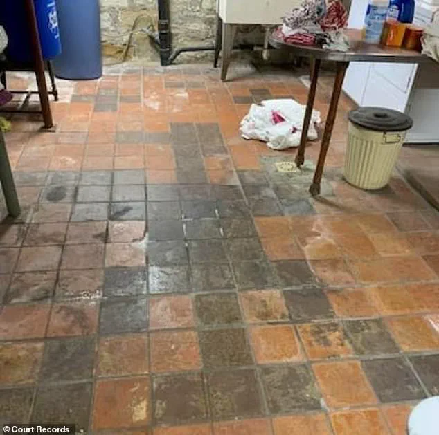Heated Legal Battle Over Nazi Symbols in Pennsylvania Couple's New Home Flooring