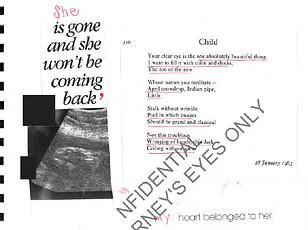 Jeffrey Epstein's Released Documents Spark Conspiracy Theories and Alleged Exploitation Claims