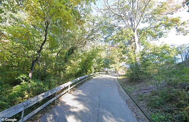 Local Woman Dies After Slipping on Ice During Cold Snap in Annapolis