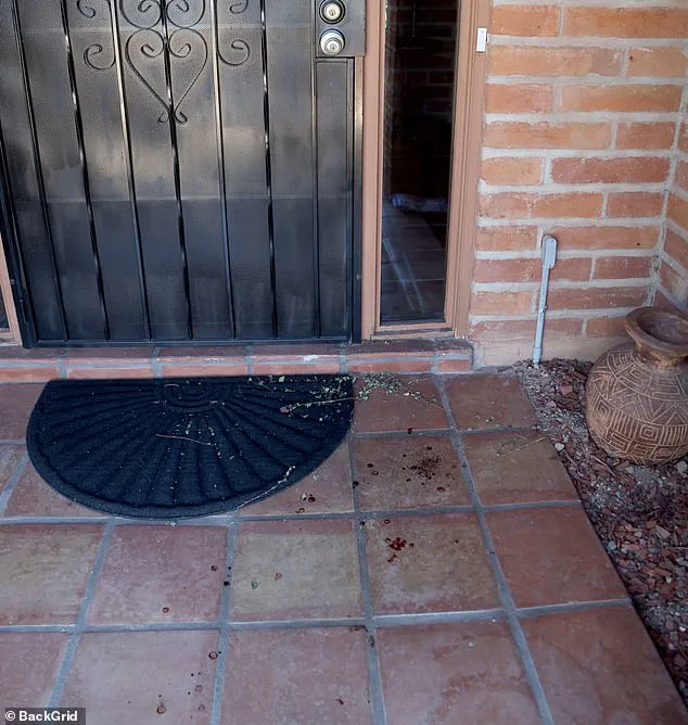 High-Profile Kidnapping of Nancy Guthrie: FBI Agent Highlights Bitcoin Ransom as Key Clue