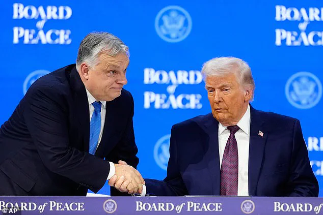 Trump's Board of Peace to Address Global Peace and Gaza Reconstruction in First Meeting
