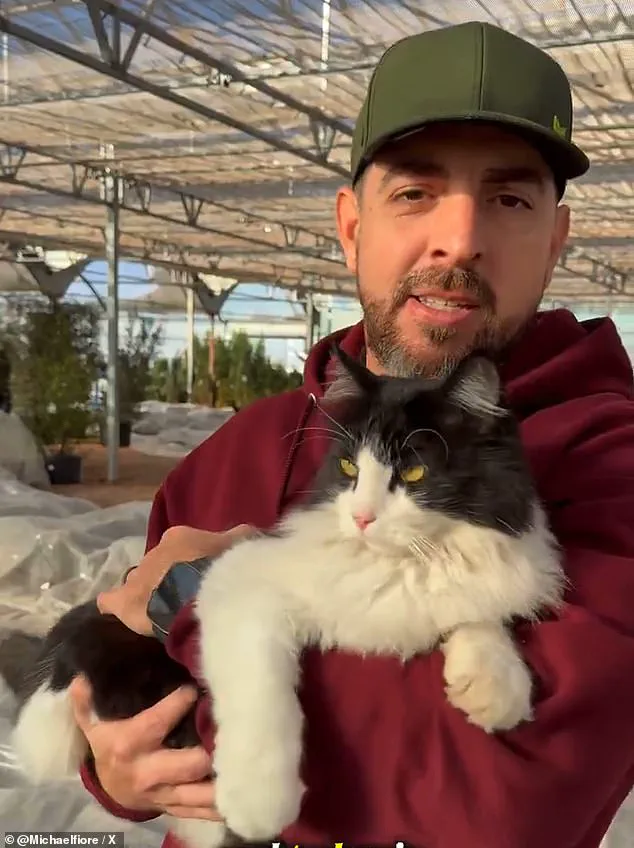 Viral Cat Sylvester Saves Texas Garden Center with Rat Catch