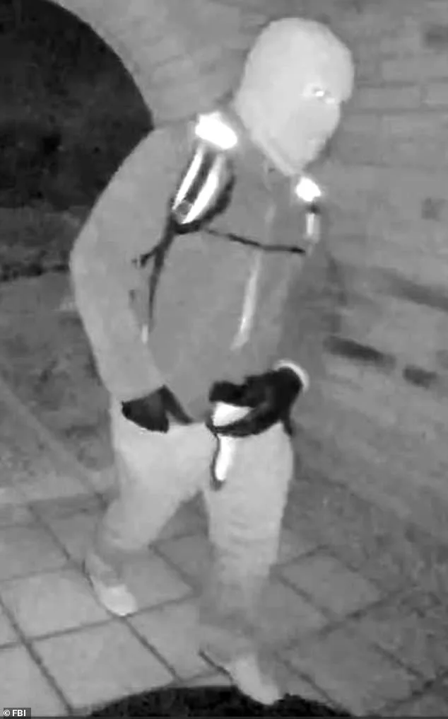 Bald Man in Surveillance Footage Wearing Similar Backpack to Nancy Guthrie's Captor Raises Questions About Disappearance